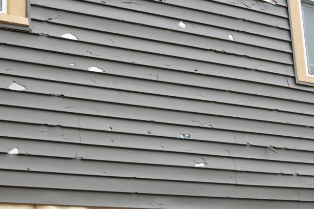 Best Hoarding Cleanup  in Hunters Creek, FL